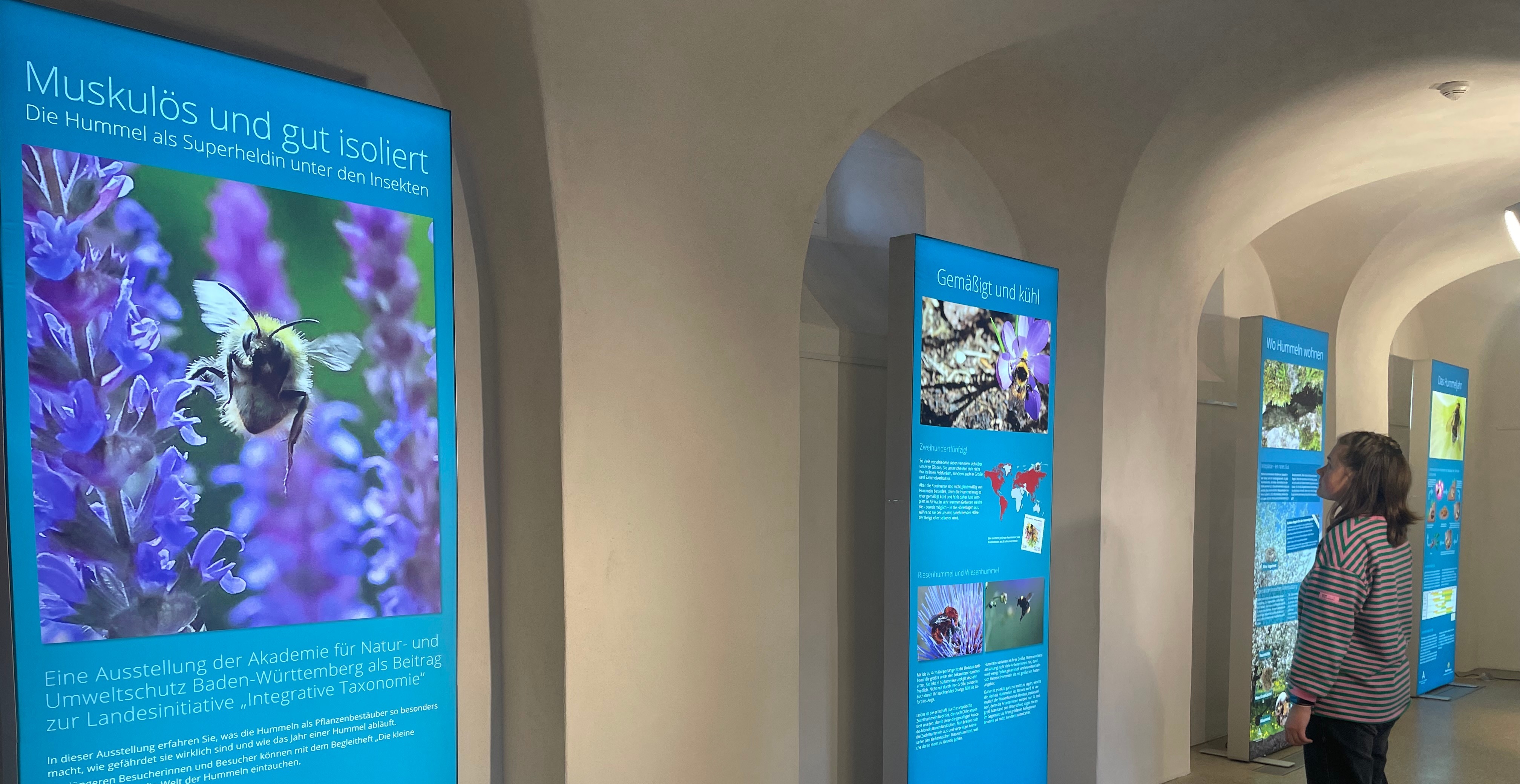 Wechselausstellungen 