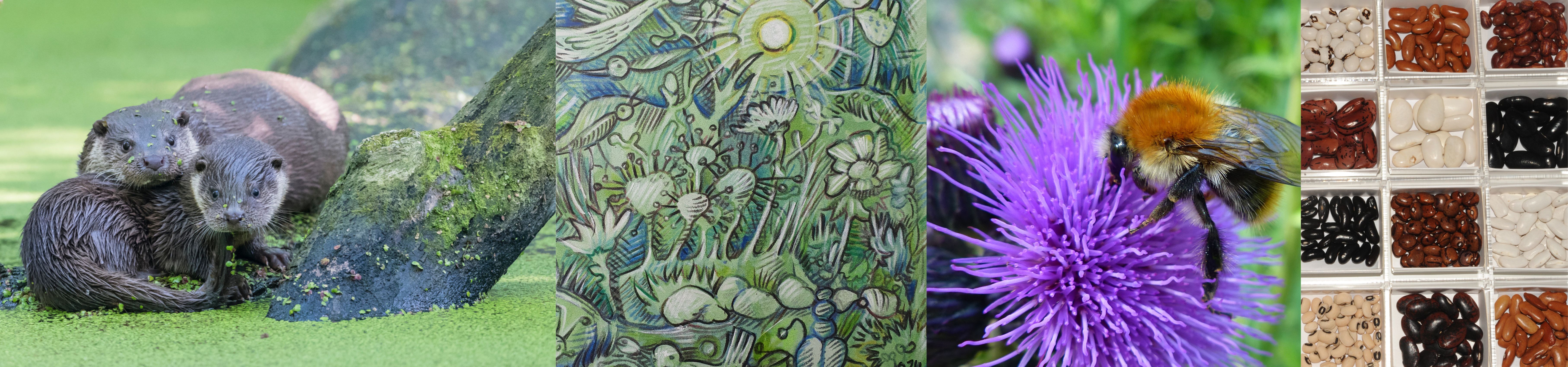 Wechselausstellungen